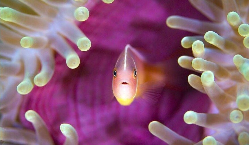 Красивое фото природы 