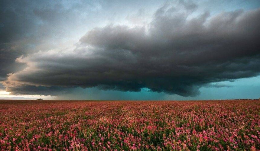 Красивое фото природы 