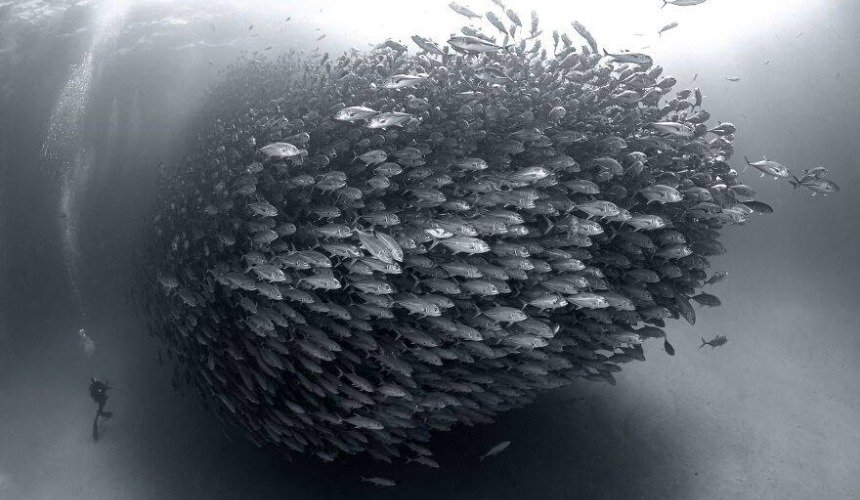 Красивое фото природы 