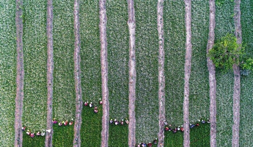 Красивое фото природы 