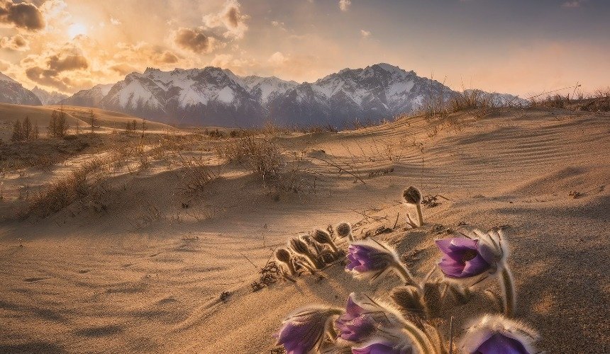 Красивое фото природы 