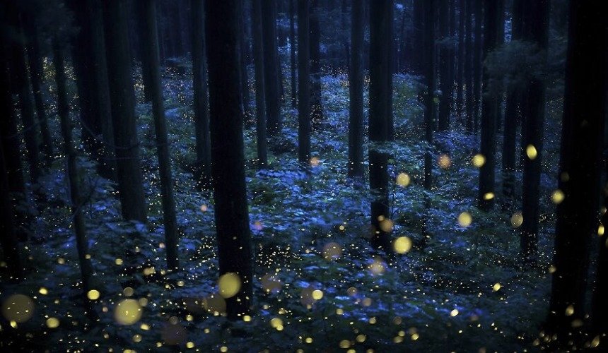 Красивое фото природы 