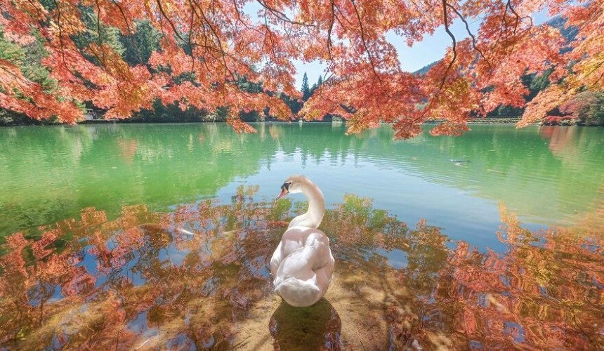 Красивое фото природы 