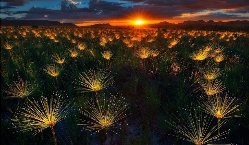 Красивое фото природы 