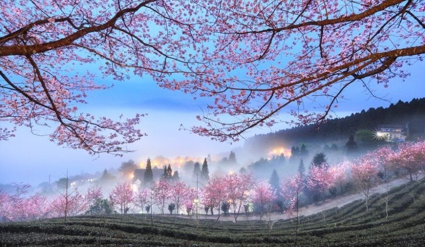 Красивое фото природы 