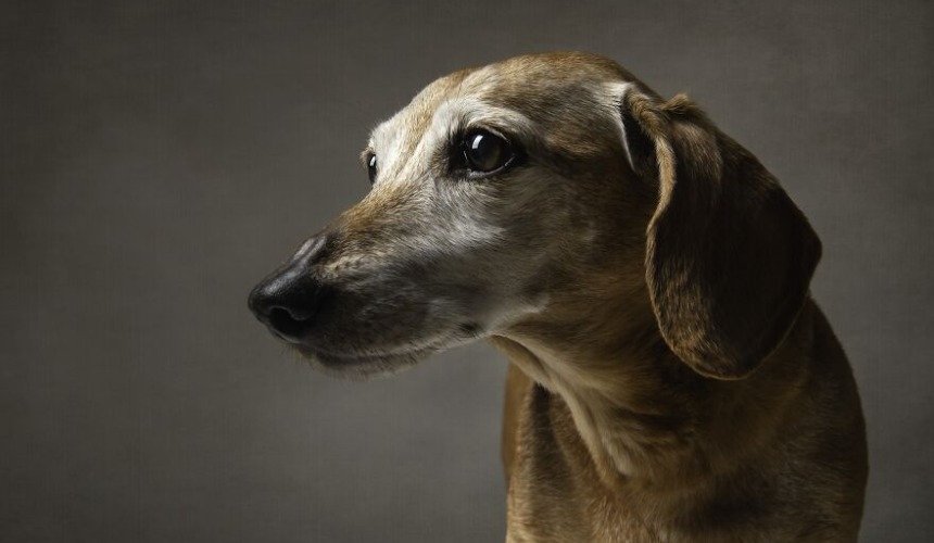 Красивое фото природы 