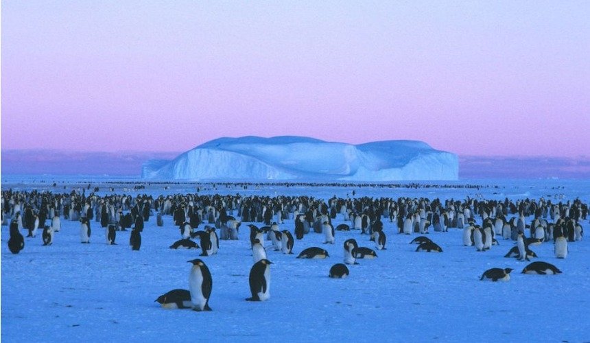 Красивое фото природы 