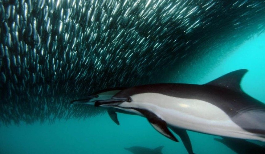 Красивое фото природы 