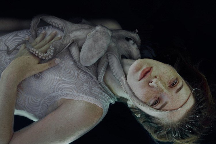 Осьминог Осьминог