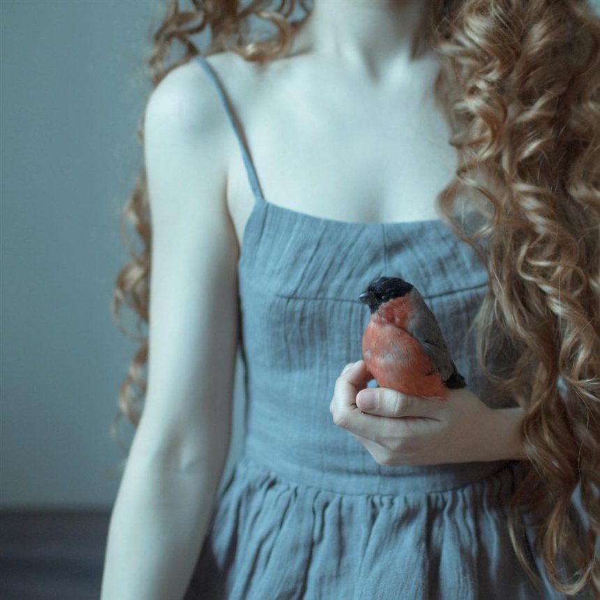 Птица Птица