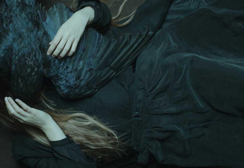 Вороны Вороны