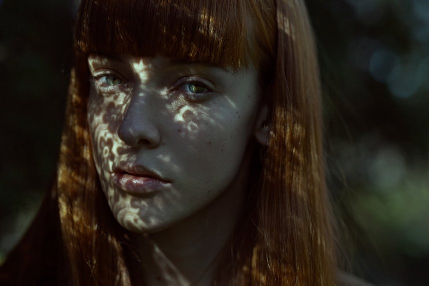 Блики Блики