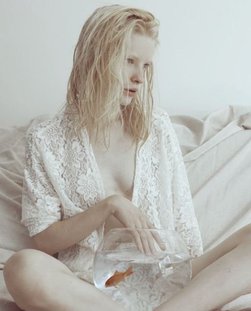 Белый фон Белый фон