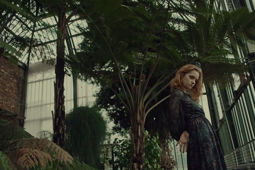 Пальмы Пальмы