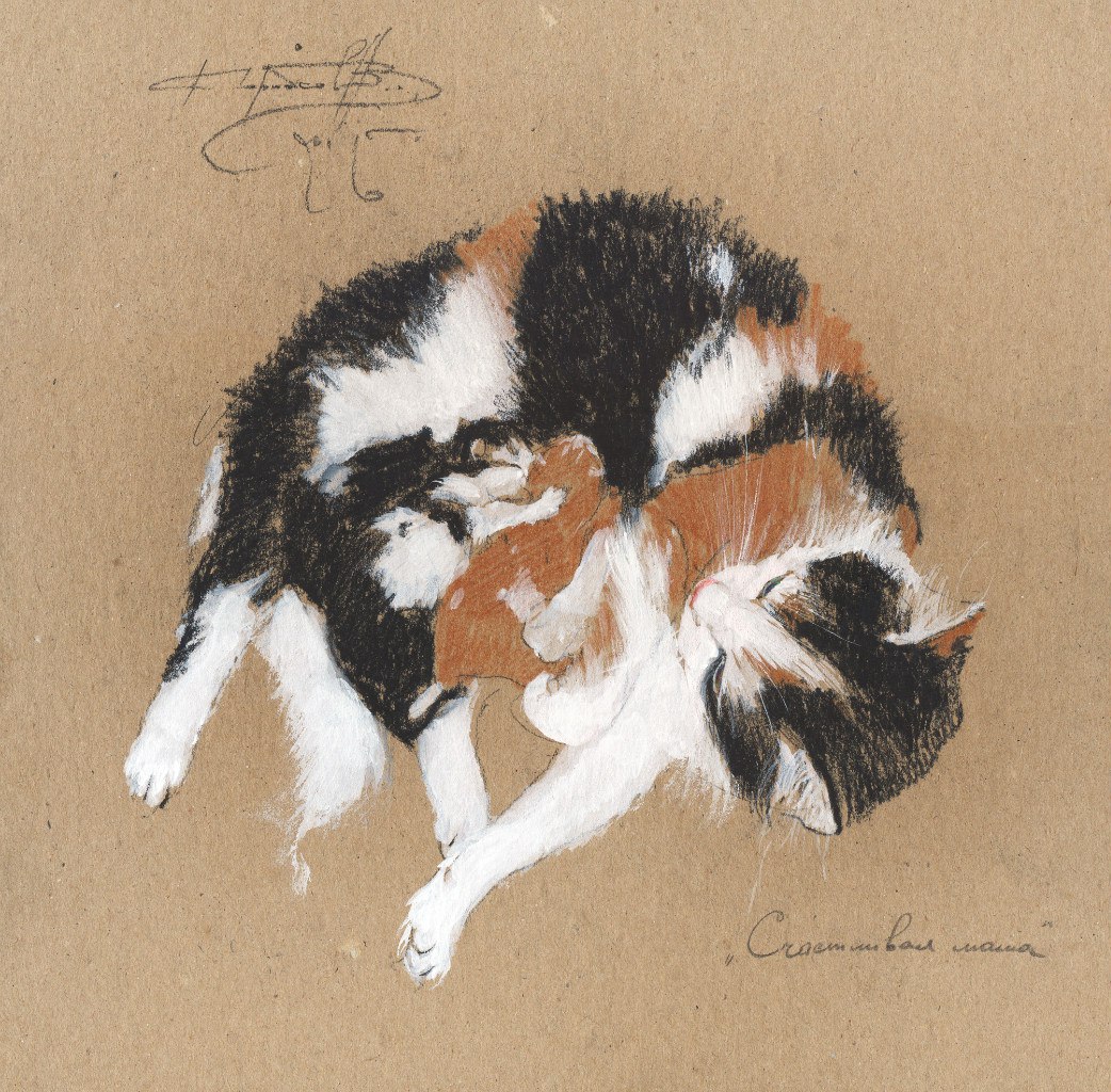 Котята Котята