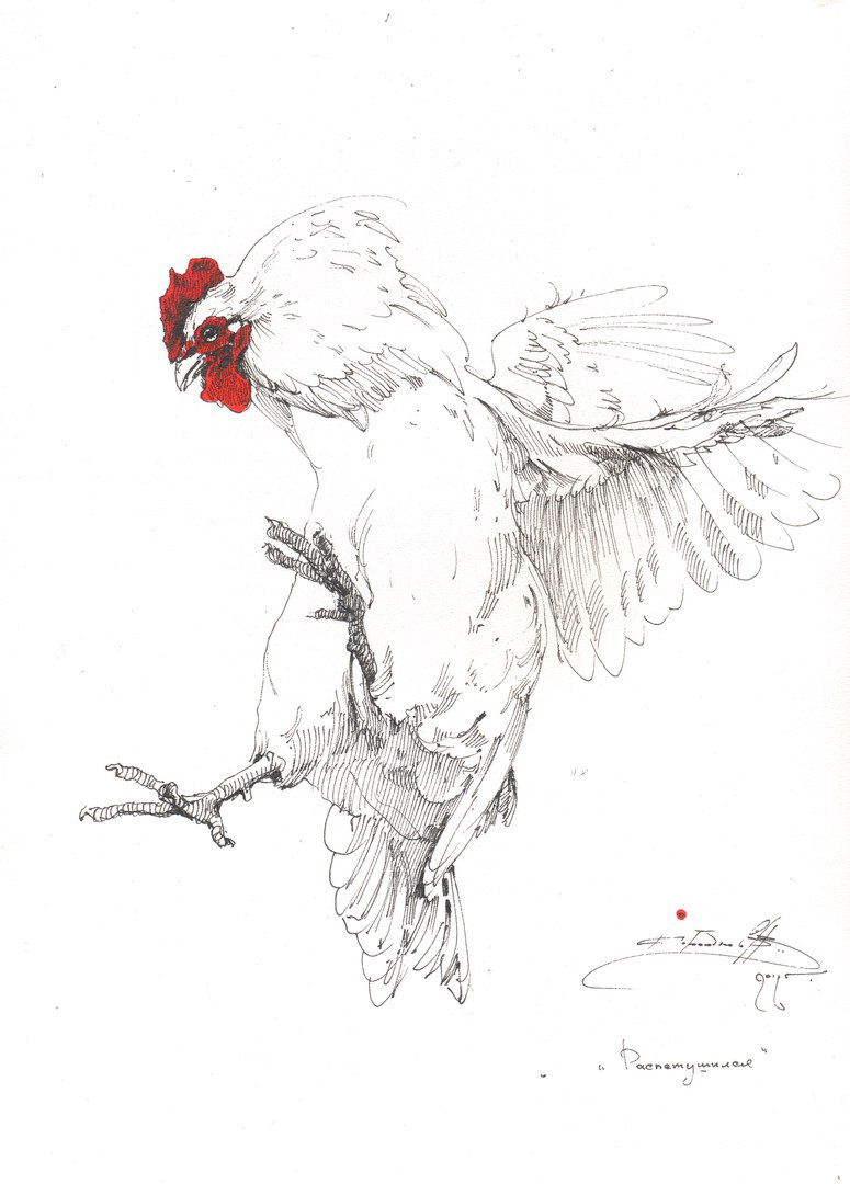 Петух Петух