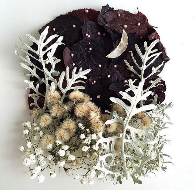 Пушистый пейзаж