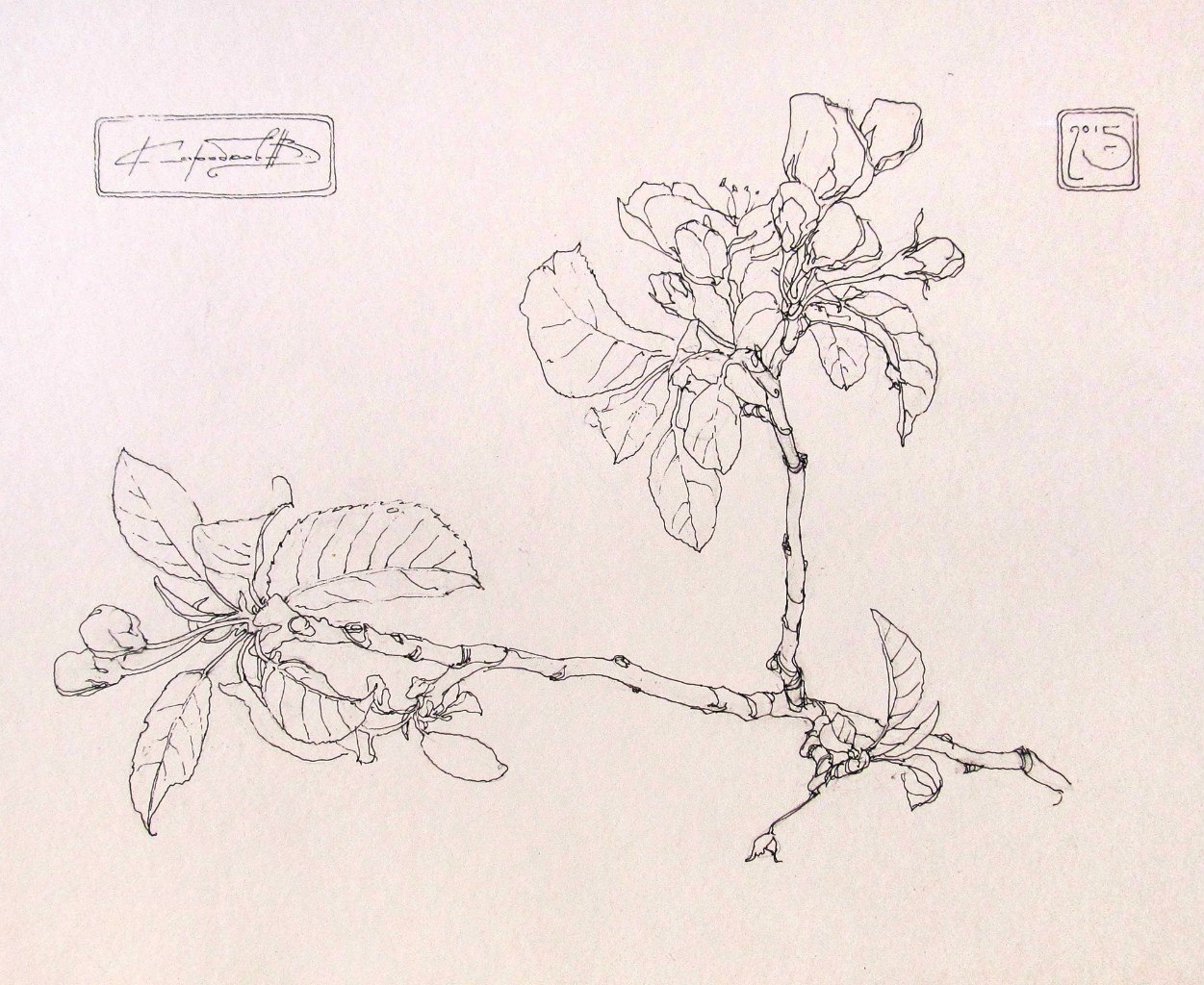 Зарисовка Зарисовка