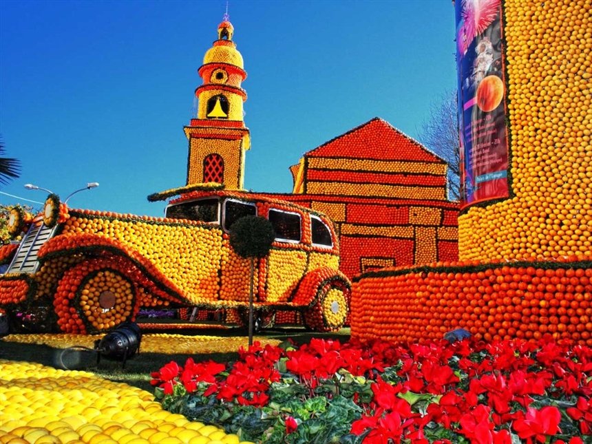 Цитрусовые Цитрусовые