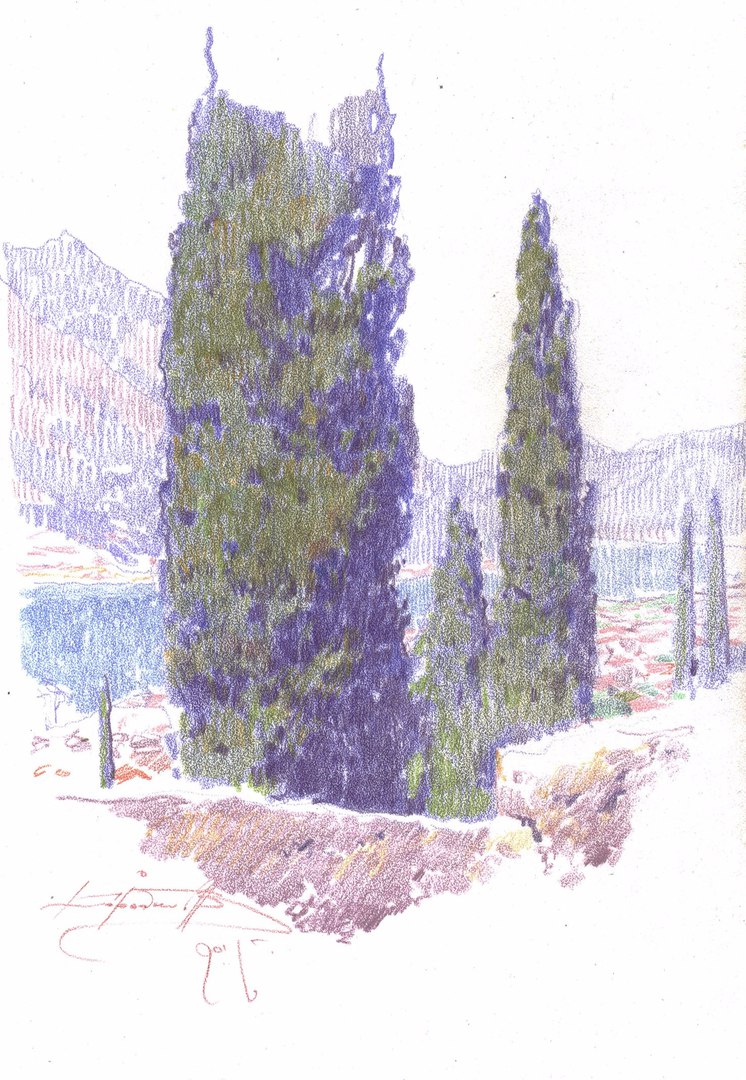 Тополя Тополя