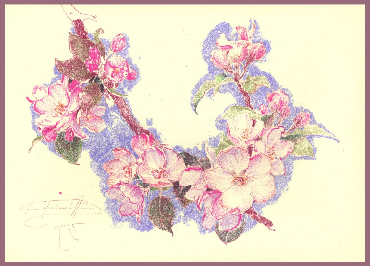 Ветка Ветка