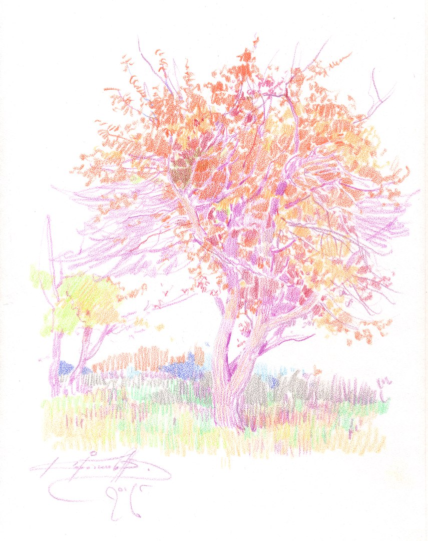 Весеннее дерево Весеннее дерево