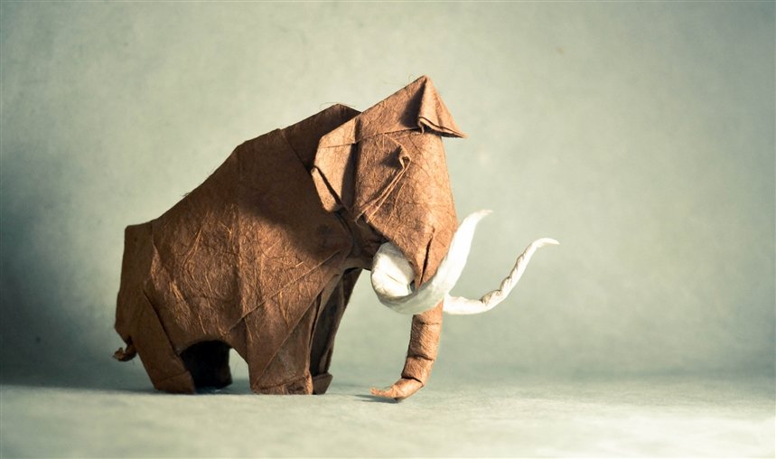 Мамонт Мамонт