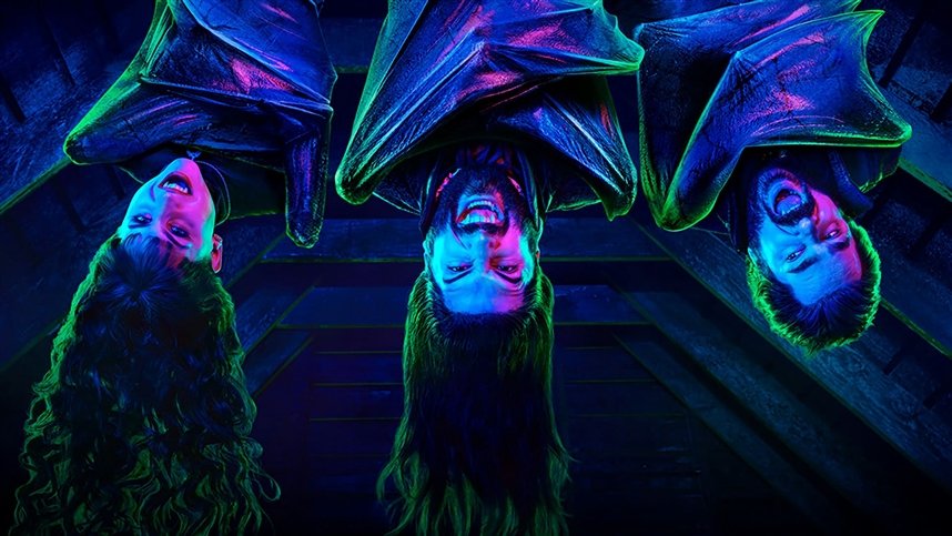 Чем мы заняты в тени