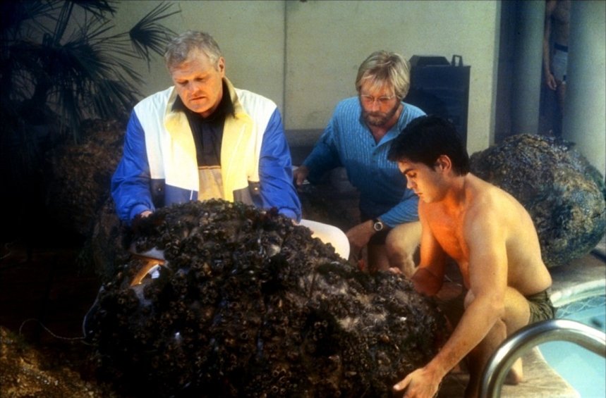 Кокон Кокон