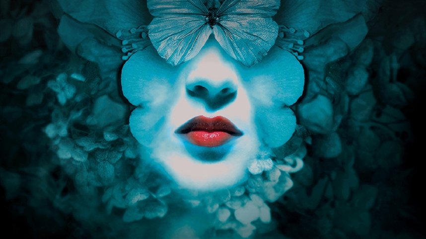 Спящие красавицы Спящие красавицы