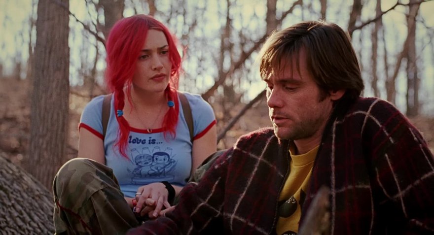 Вечное сияние чистого разума