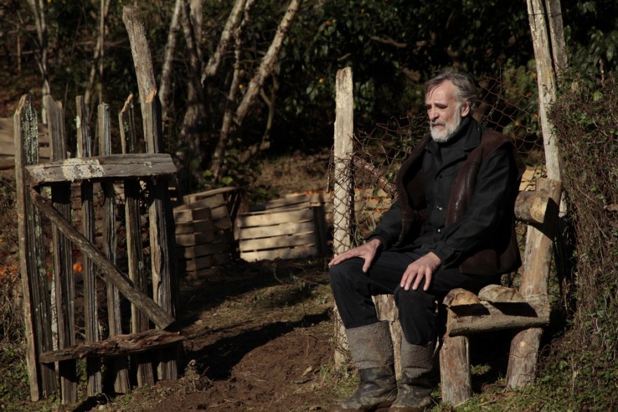 «Мандарины», 2013 «Мандарины», 2013