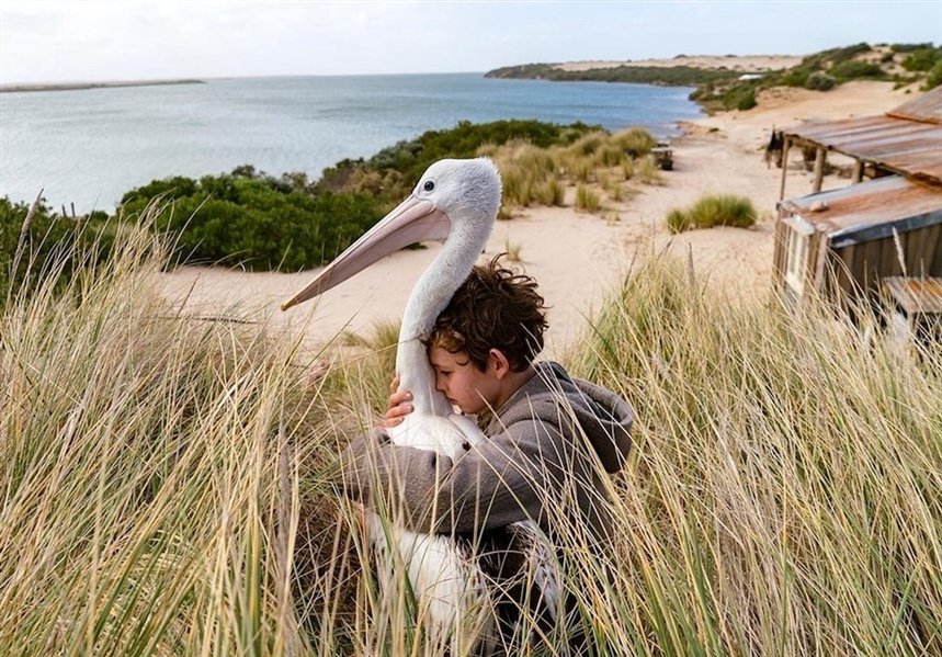 Штормовой мальчик