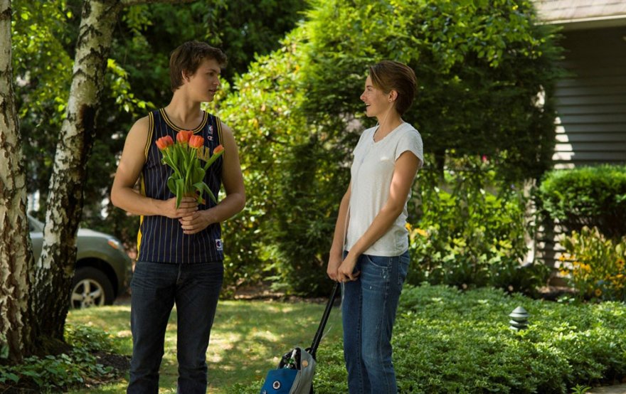 Виноваты звезды, 2014 Виноваты звезды, 2014