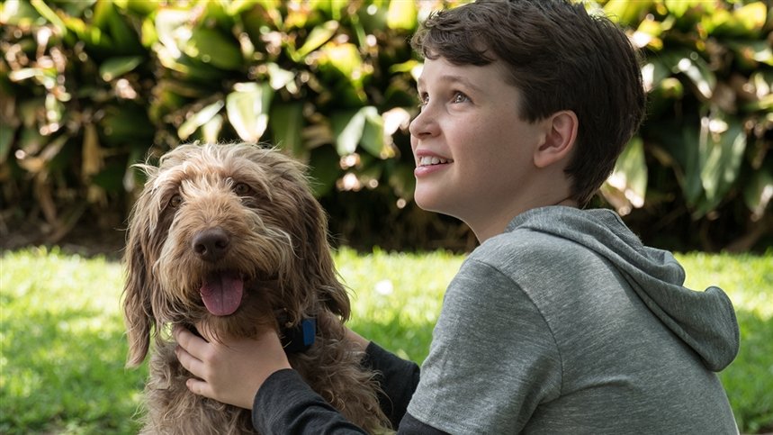 Думай как собака Думай как собака