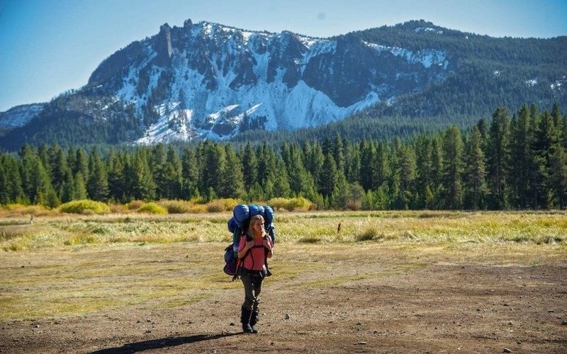 Дикая фильм