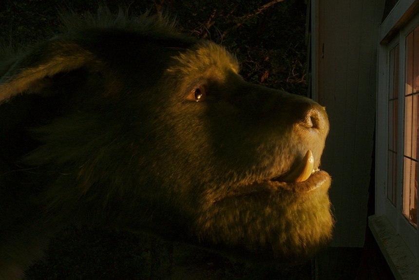 Пит и его дракон Пит и его дракон