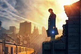 Тест для поттероманов: Какая ты фантастическая тварь и где ты обитаешь