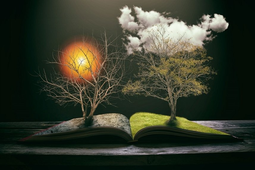 Книги осени 2020 Книги осени 2020