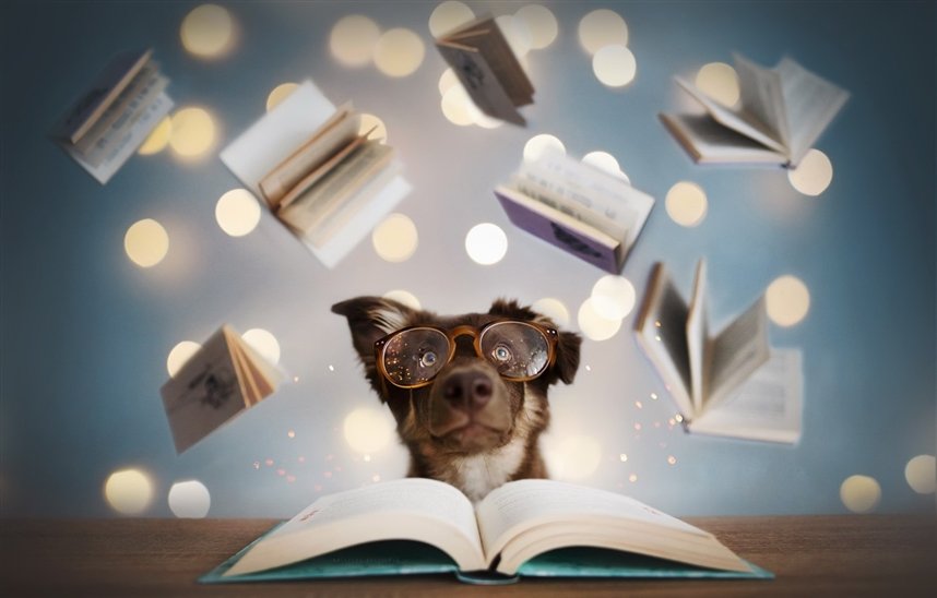 Книги о собаках Книги о собаках