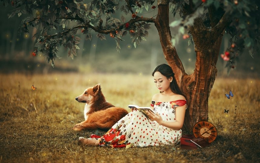 Книги мая 2020 Книги мая 2020