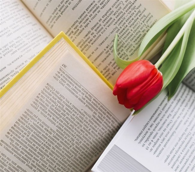 10 новых книг: март 2026