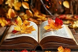 10 новых книг: октябрь 2024