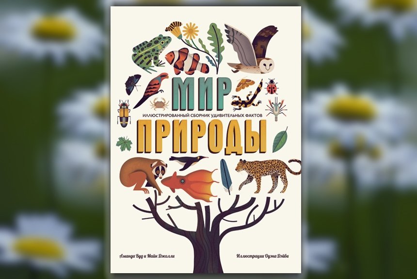 Мир природы
