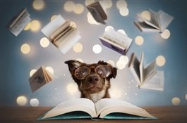 15 потрясающих книг о собаках