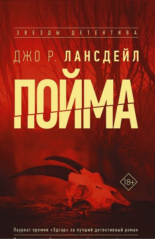 Пойма Пойма