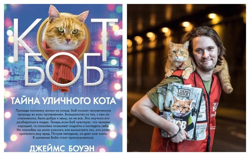Тайна уличного кота Тайна уличного кота