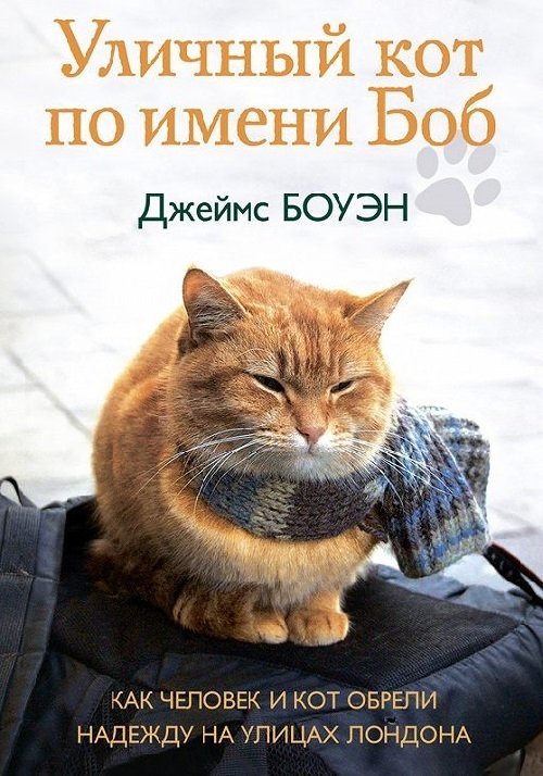 Уличный кот по имени Боб