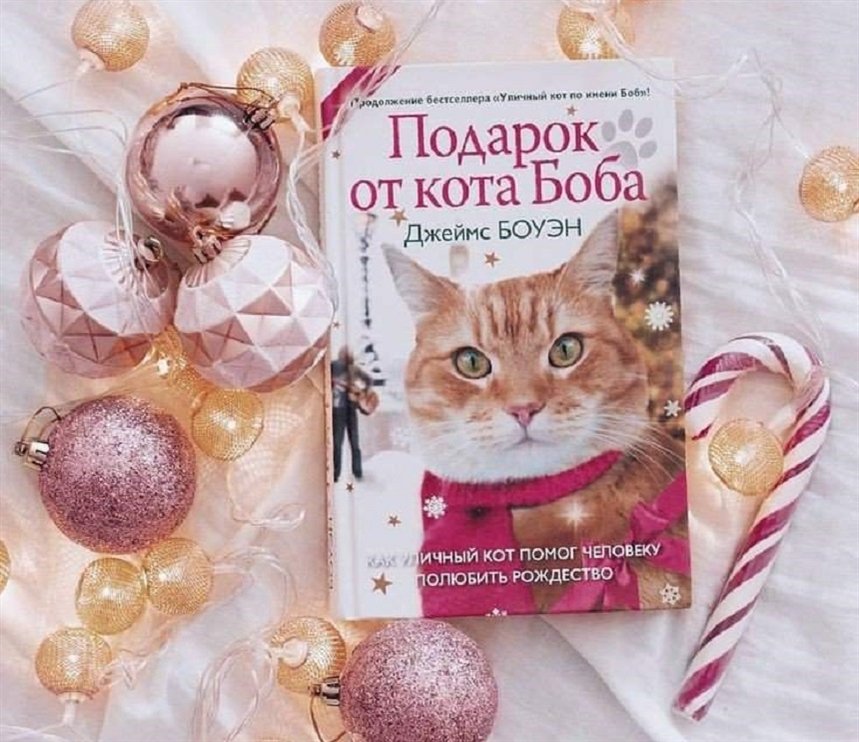 Подарок от кота Боба