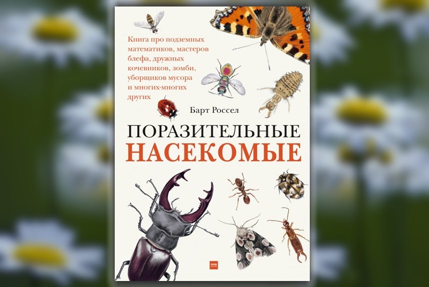 Поразительные насекомые